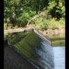 20150826134730_IMG_1607