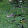 20150827111924_IMG_1622