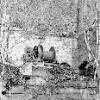 EPSON scanner image