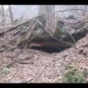 IMG_9460_v1