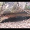 IMG_9461_v1