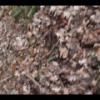 IMG_9476_v1